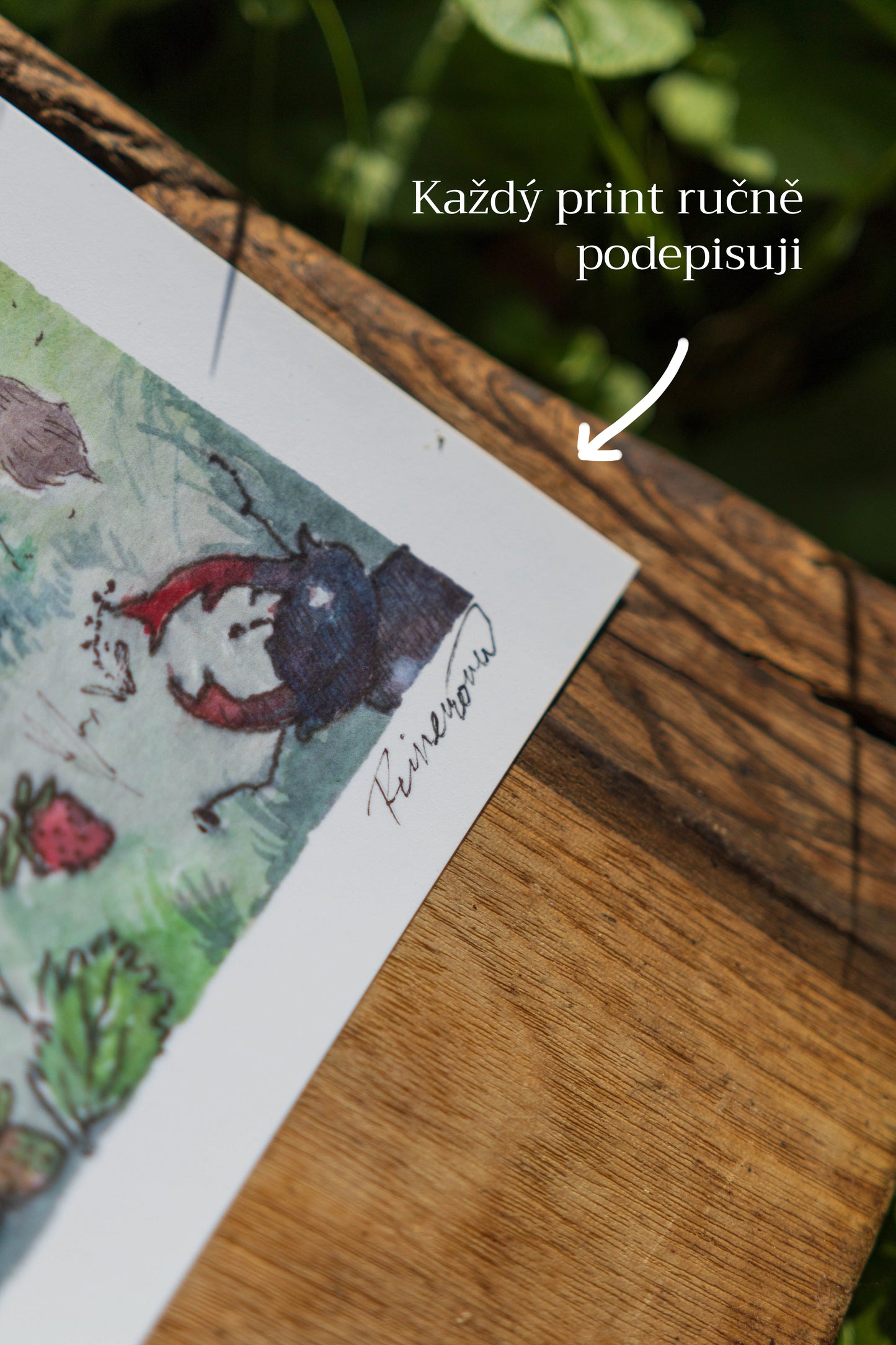 Print A5 Kočičí Víly