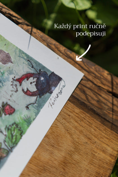 Print A5 Kočičí Víly