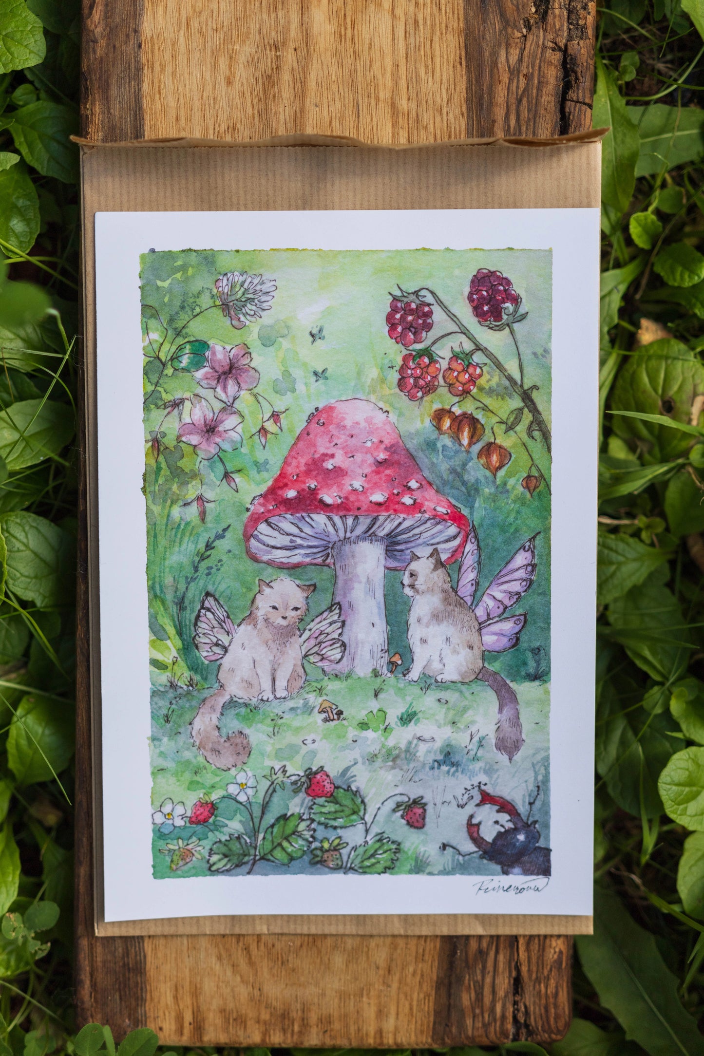 Print A5 Kočičí Víly