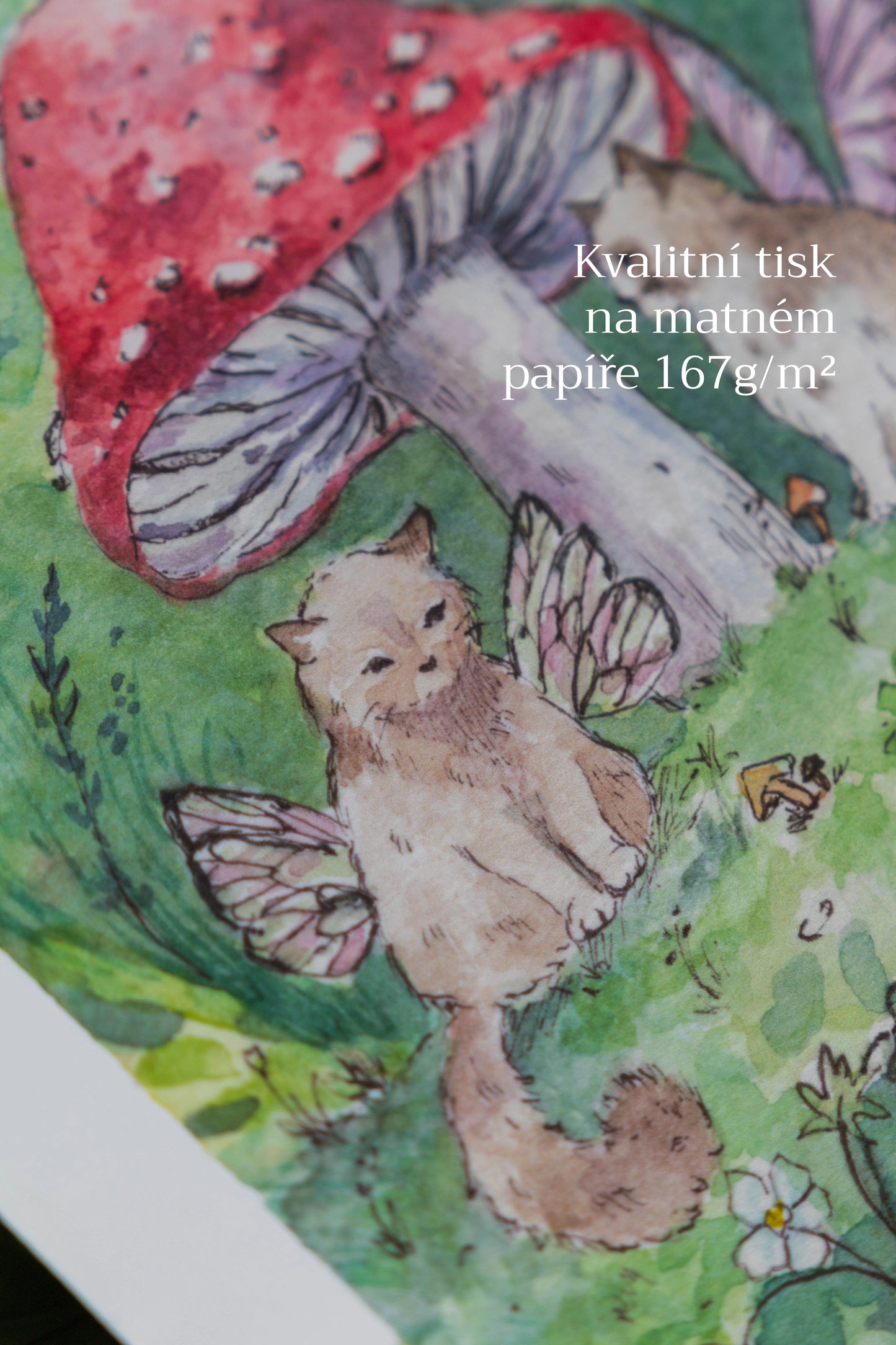Print A5 Kočičí Víly