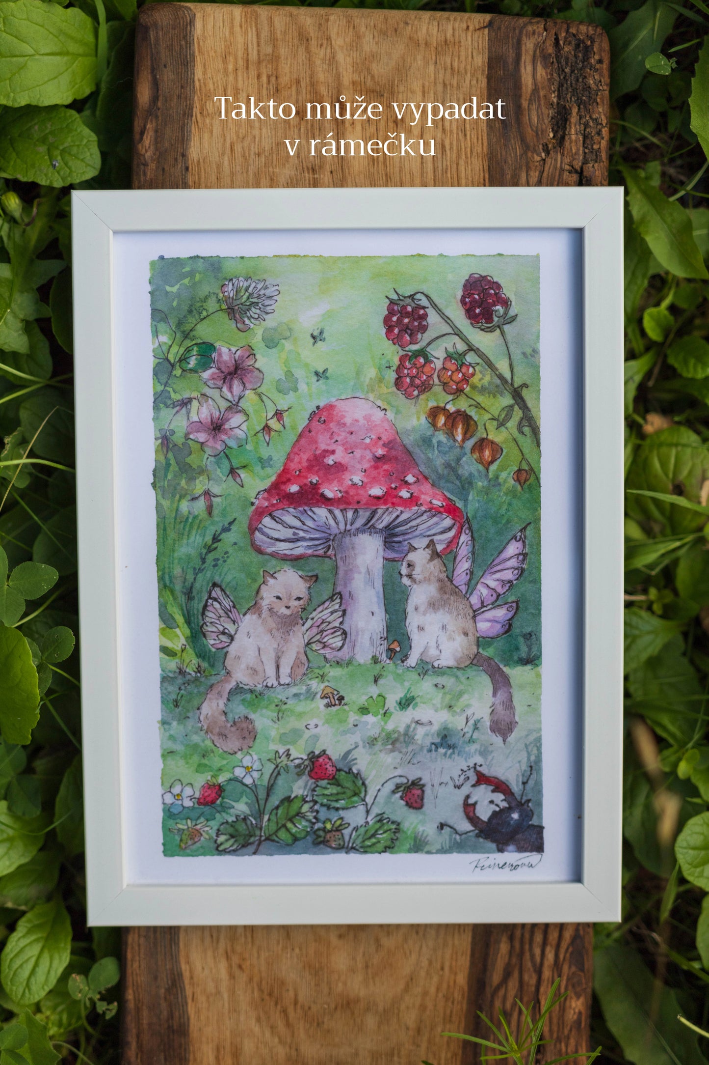 Print A5 Kočičí Víly